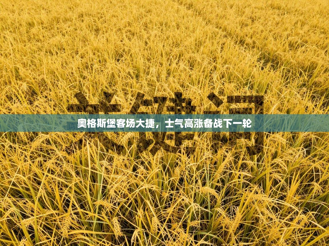 奥格斯堡客场大捷，士气高涨备战下一轮  第2张